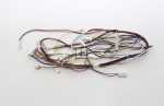 Hisense Gorenje Harness - 844990 Wiring Harness