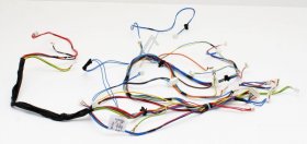 Harness - 41052724 Harness H20 Entry F s bldc [Candy Hoover]