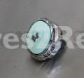 Smeg Button - 538550107 Button Assembly Green
